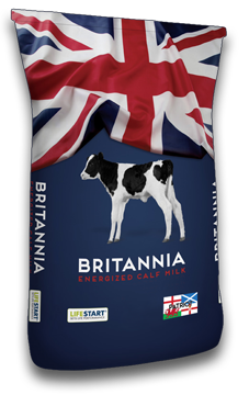 Britannia bag