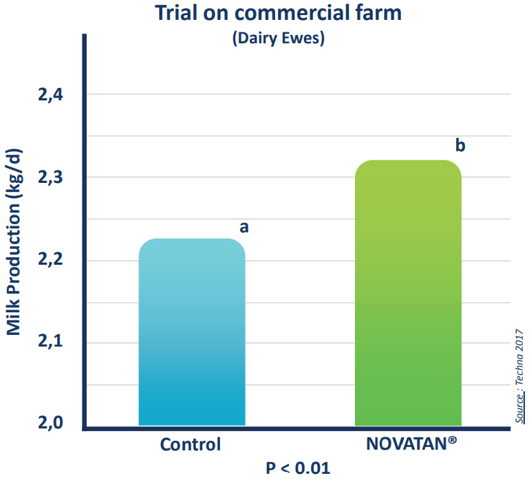 Increased milk production trail results - commercial dairy ewes