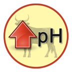 Increased average rumen pH