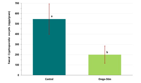 The Effect of Orego-Stim® on Cryptosporidia in Calves - Results chart.