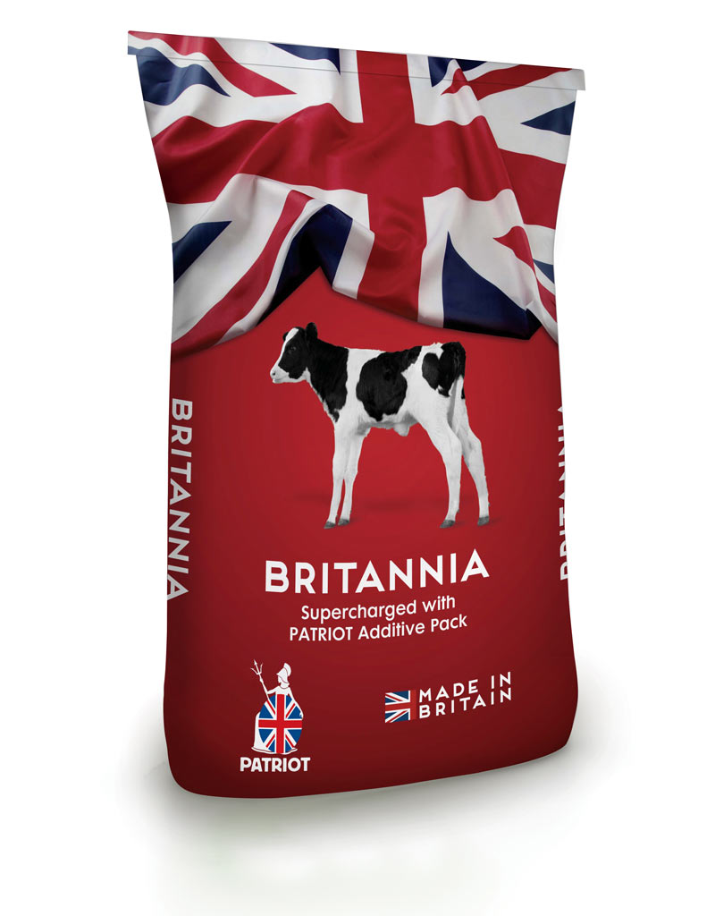 Britannia Synchro Red bag