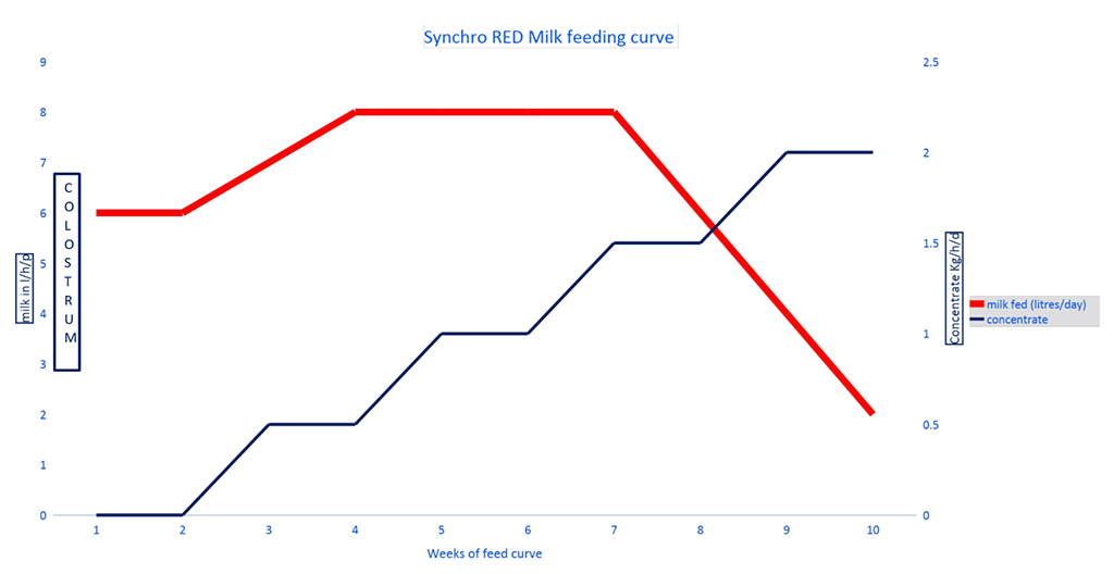 Britannia Synchro Red chart