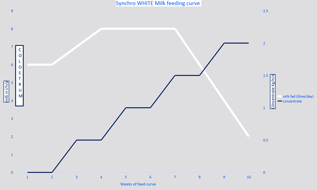 Britannia Synchro White chart