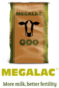 Megalac bag