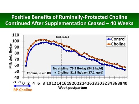 Choline benefits chart