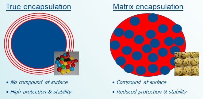 Choline encapsulation diagram