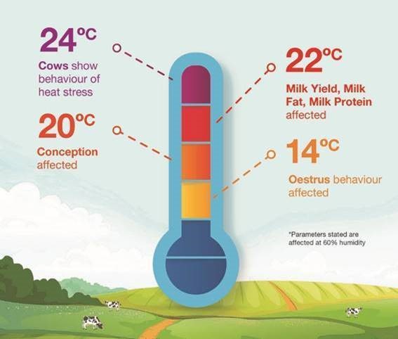 Heat stress temperatures