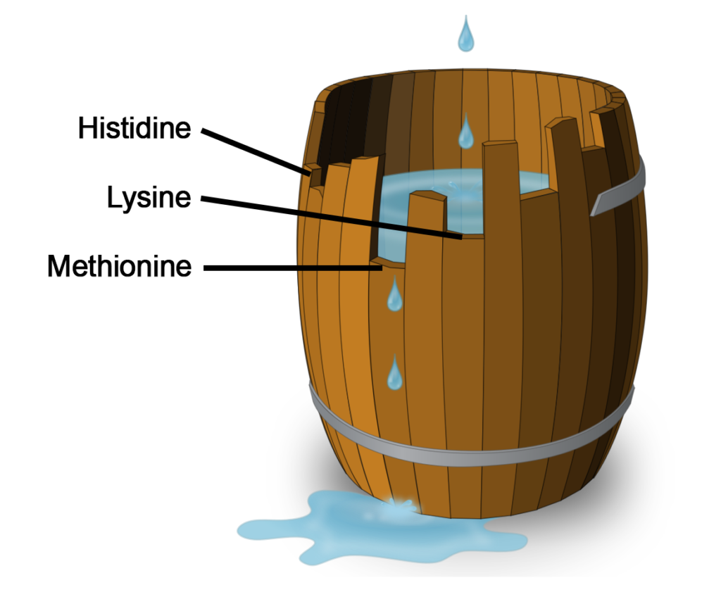 Leaky Barrel