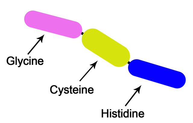 Short-chain peptide