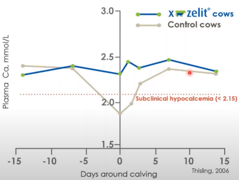 X-Zelit Blood Calcium Chart