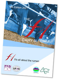 The F1 Dairy Blueprint Version 8 (2021 Edition)