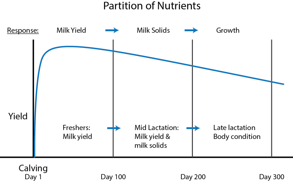 The Partition of Nutrients